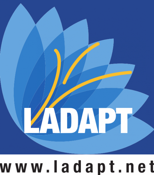 tl_files/editeur/logos partenaires/LOGO LADAPT 01 10 2016.png